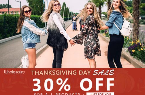 W7's Thanksgiving Day On Sale