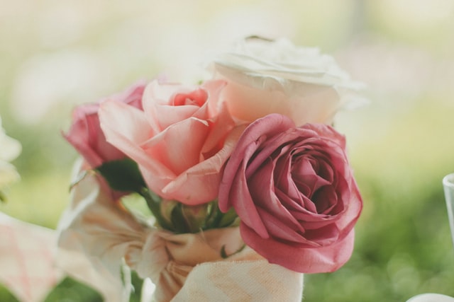 Bright flowers