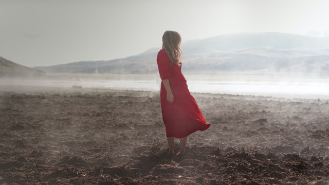 long sleeve dress